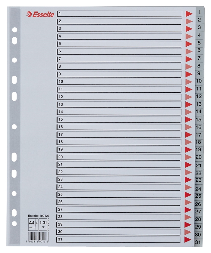 Esselte Regiszter PP A4 maxi 1-31 szürke