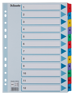 Esselte Regiszter Mylar karton A4 1-12