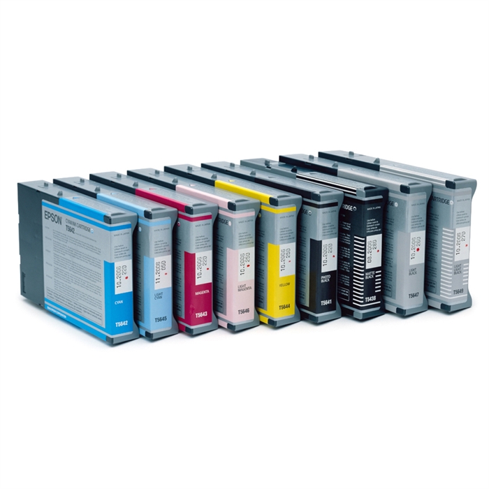 Epson Singlepack Világos Világos Fekete T602900